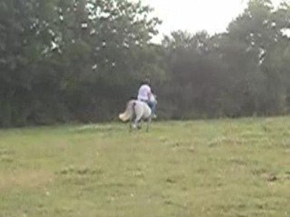 quirsh galop