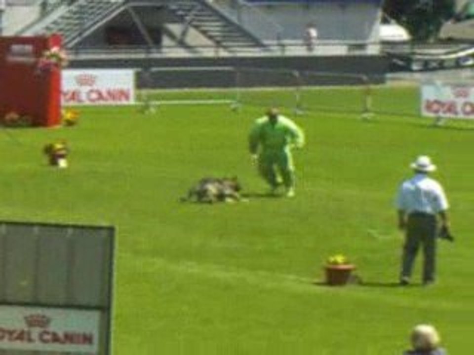 Ulko des Guerriers du Crépuscule