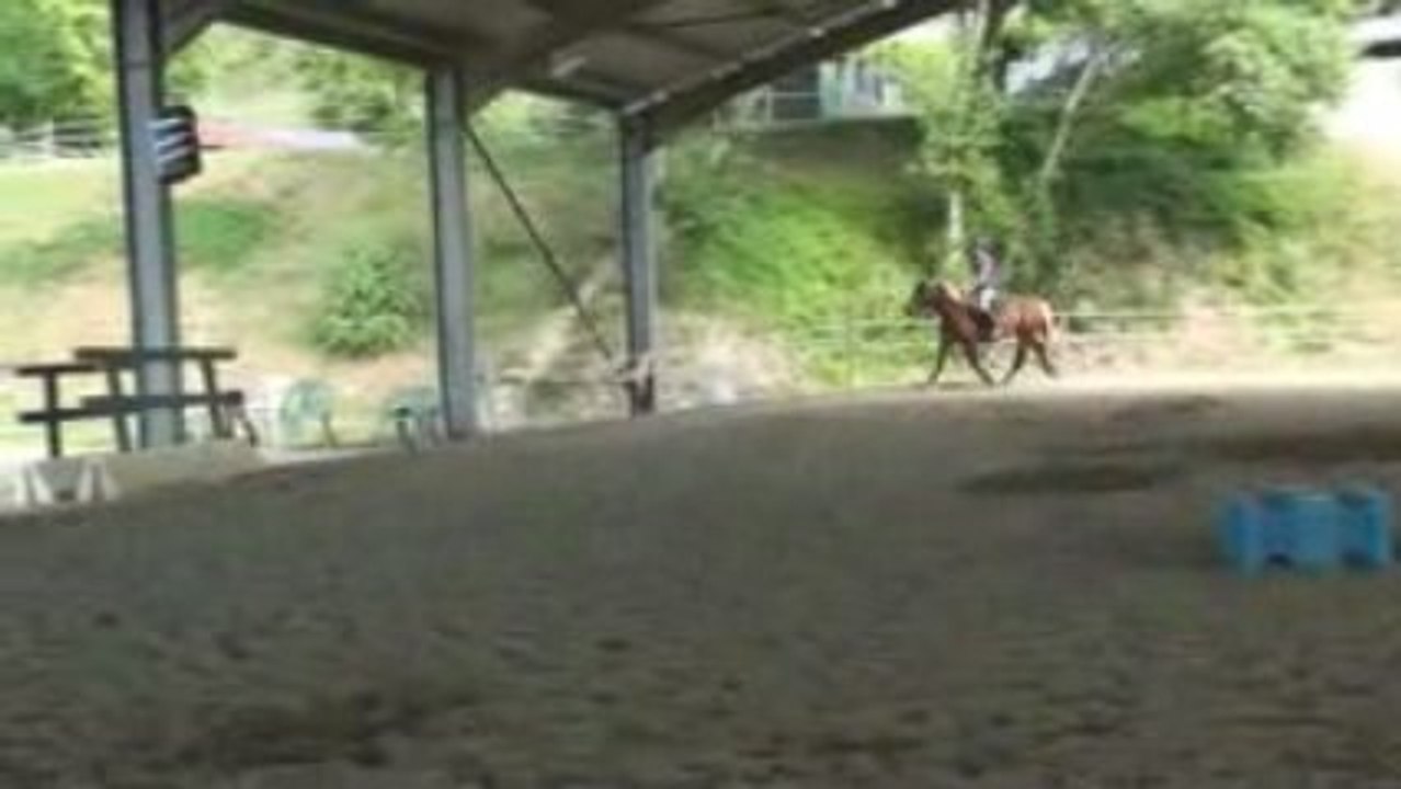 Déesse : premier départ au galop...ou pas