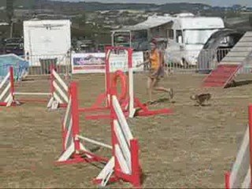 Concours agility Annonay Biki