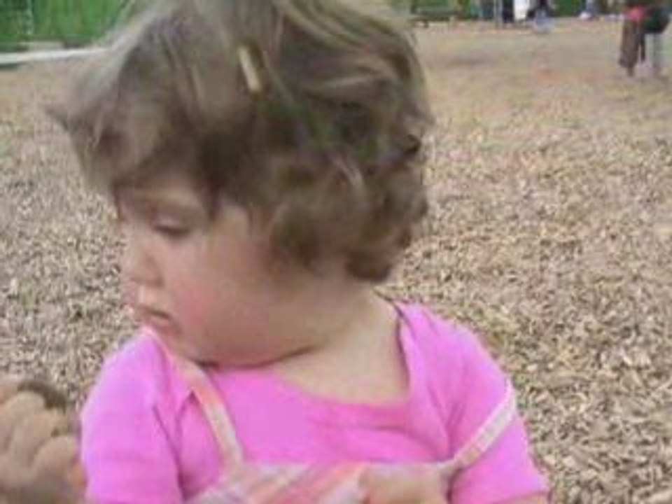 Pique Nique dimanche 28 Juin 2009