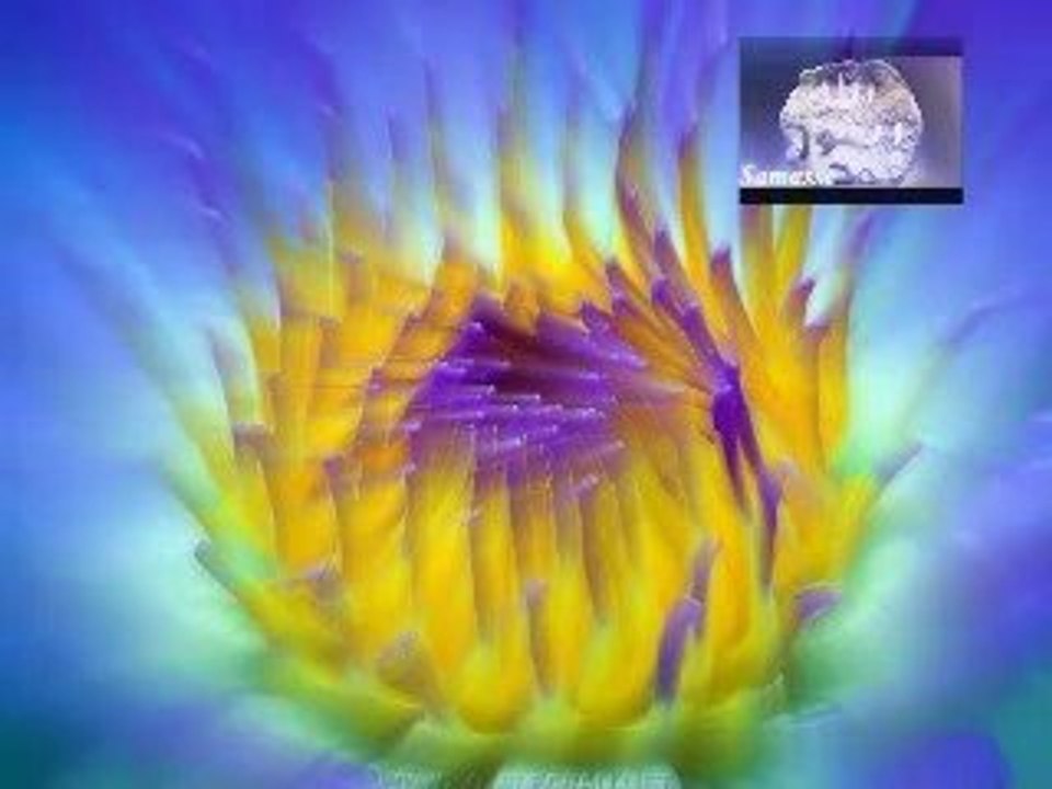 connait tu ton Prophète (saw)? partie 1