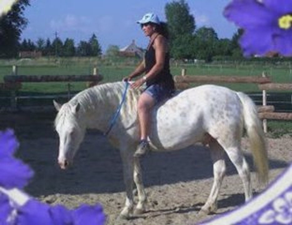 travail en  longues renes  , pas espagnol