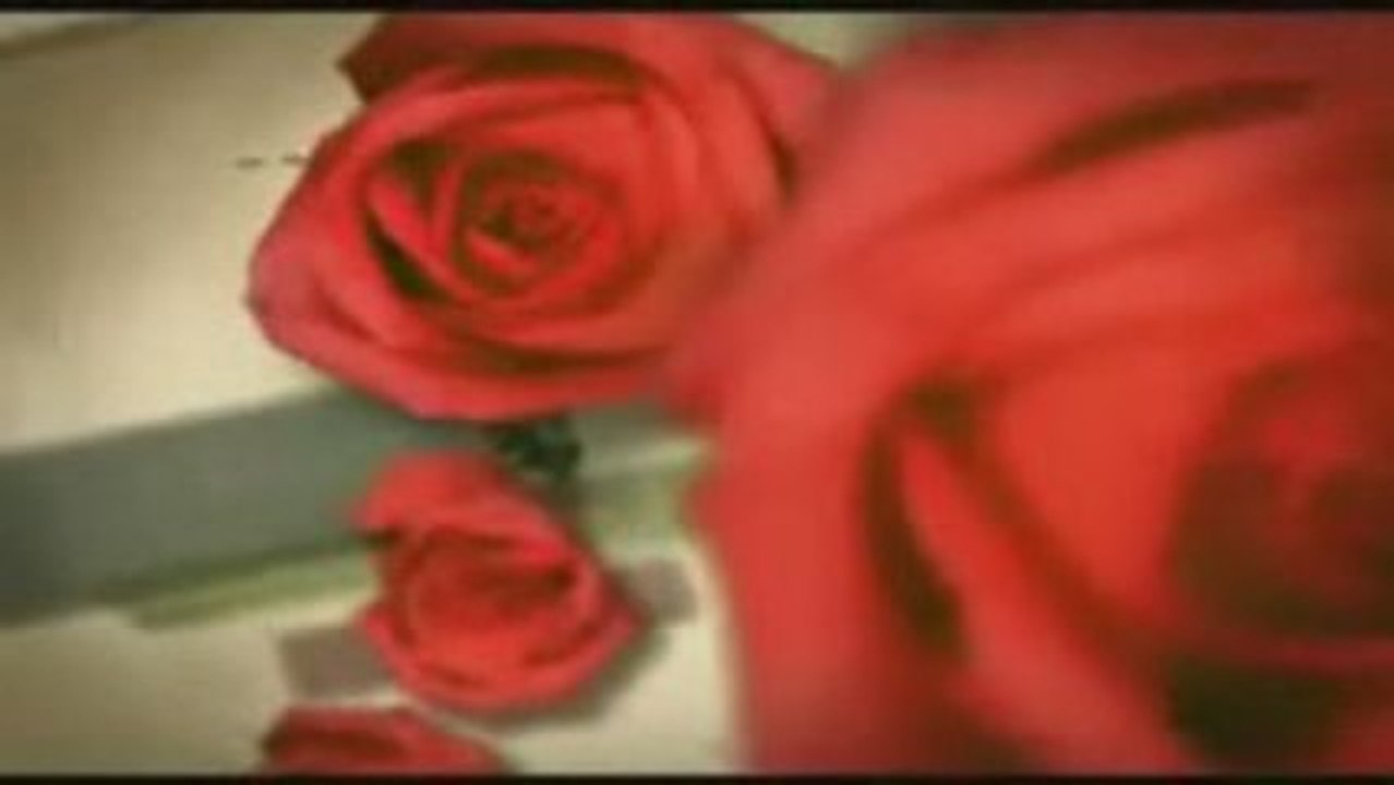 Sertab Erener - Bu Böyle [YENI KLIP 2009] H.Q.