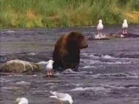 lours(yannis hakkar)