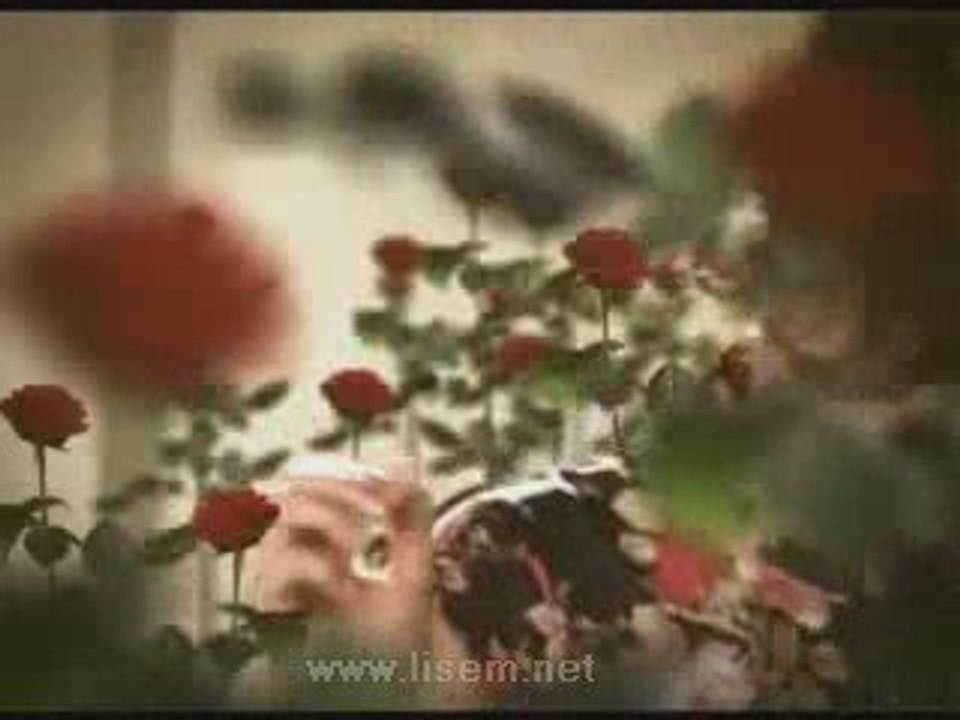 Sertap Erener Bu Böyle www.lisem.net