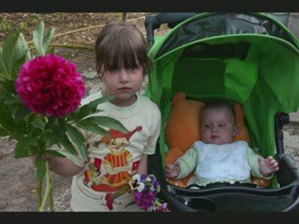 PEGAS STUD--FAMILY