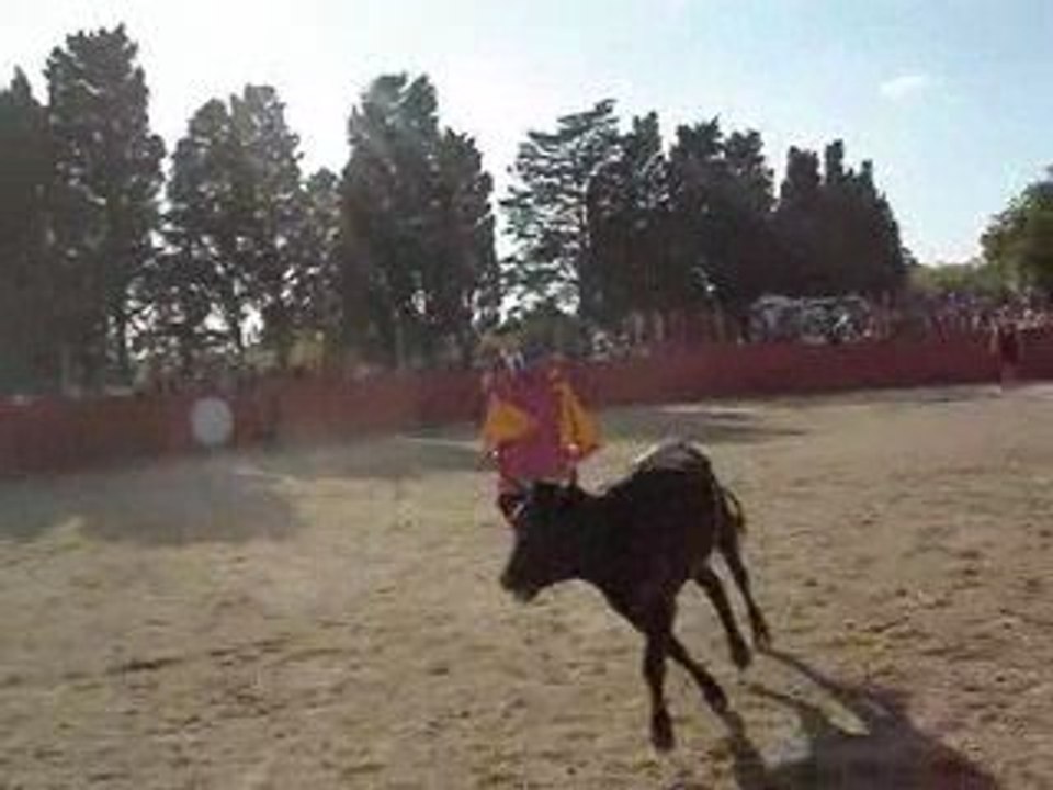 Entrée de Boris - Mano a Mano - Féria de Vendres 2009