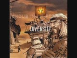 Dub Incorporation - Diversité