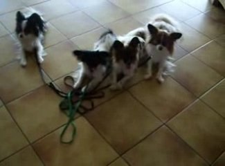 Le couché puis "tu viens"