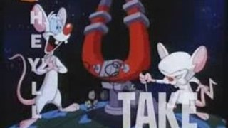 Pinky and the Brain Dutch (the series intro) High Quality