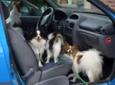 Monte et descend shanna a loupé le monte