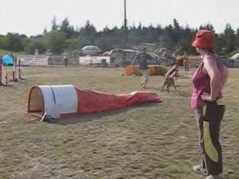 boxer agility annonay