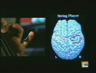 Musica y cerebro: Plasticidad y C.I.