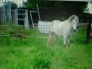 niccolo et moi en complet