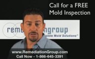 [Remediation Group] Atlanta mold remediation Atlanta Removal