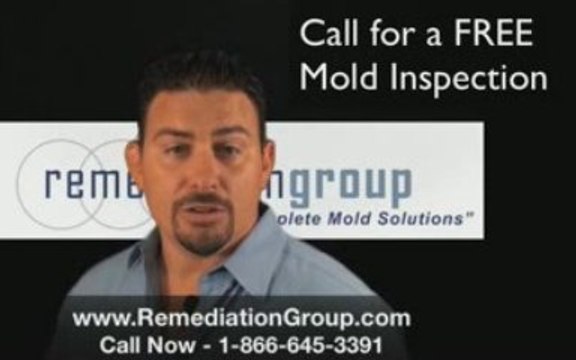 [Remediation Group] Atlanta mold remediation Atlanta Removal