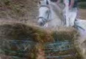 Sans Titreniiccolo et mwa en complet a la ménardiere (cross)