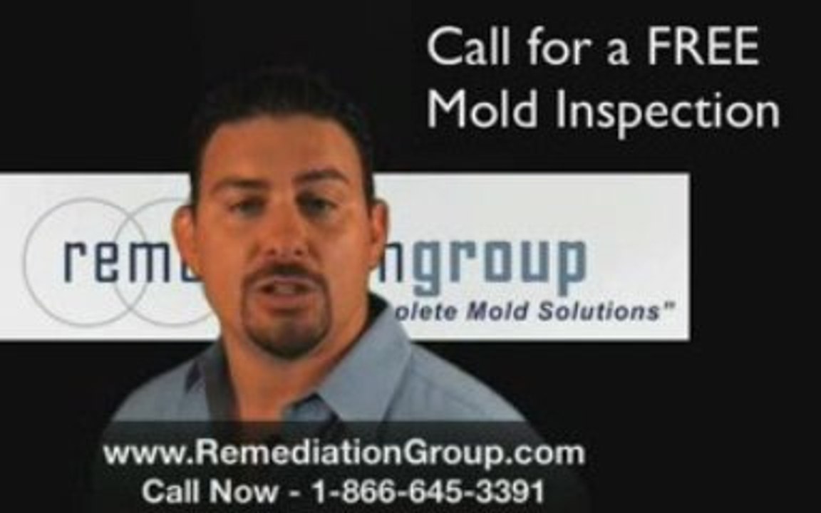 {Remediation Group} Atlanta Mold Remediation Atlanta Ga Mold