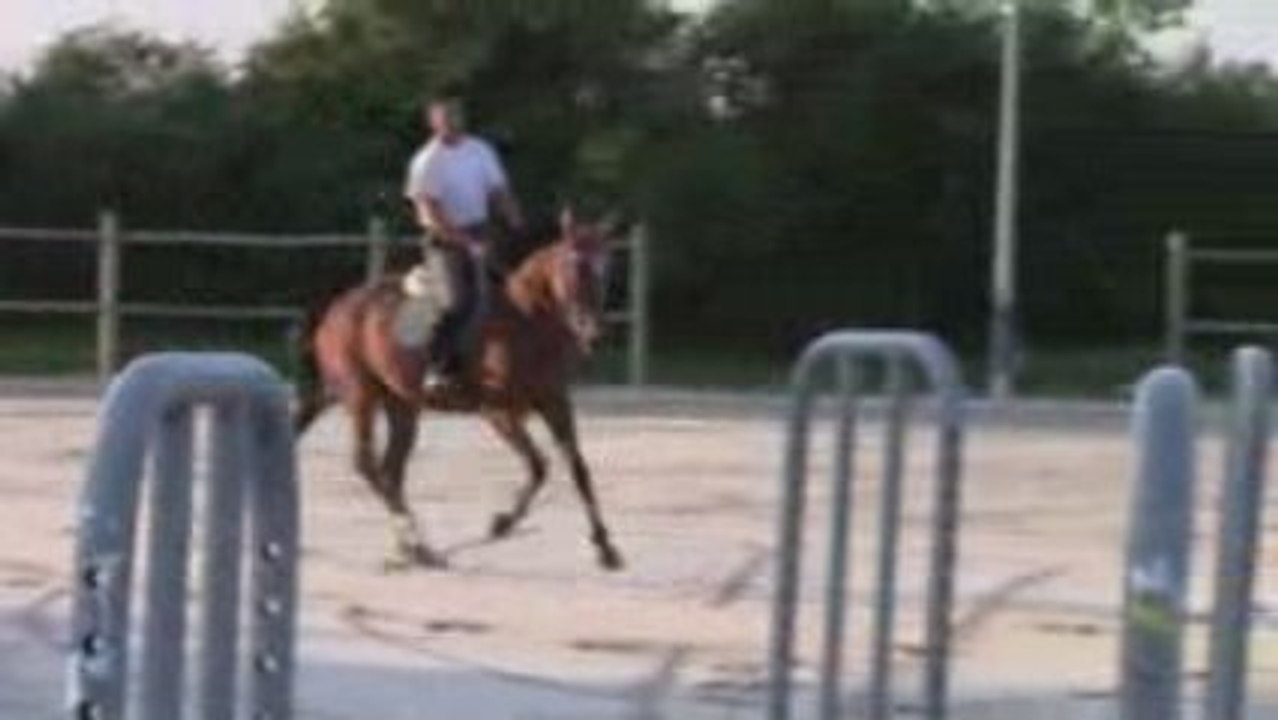 RATINA CSO 29-06-09