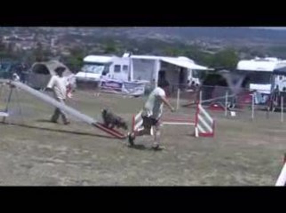 Blueberry Degre Agility Annonay 28/06/2009