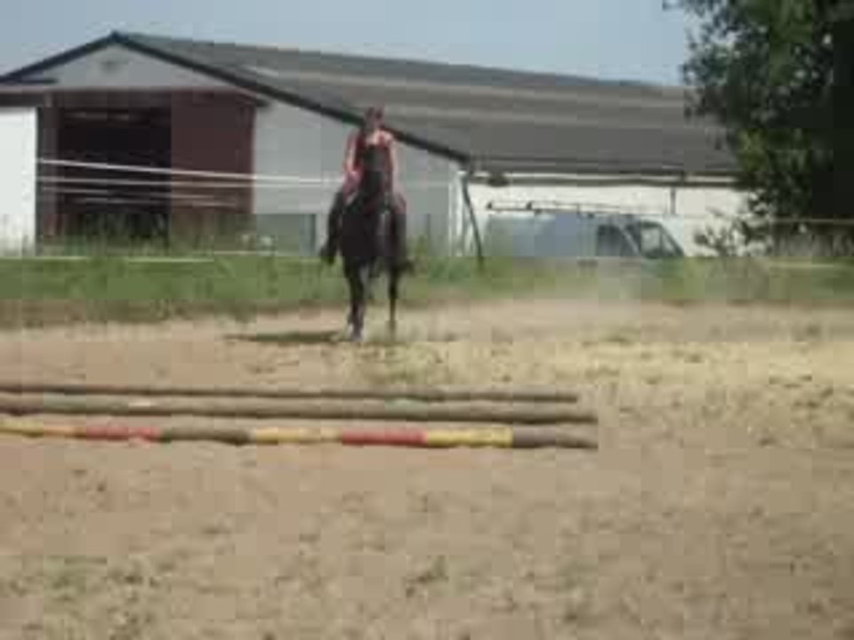 quickie sur les barres au sol