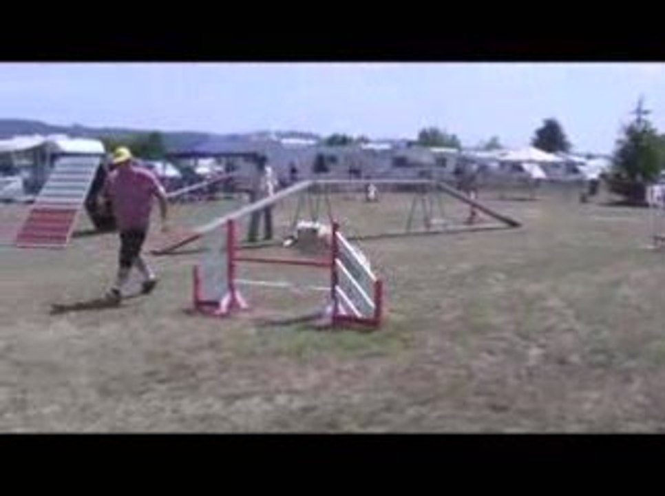 Salsa Degré Agility Annonay 28/06/2009