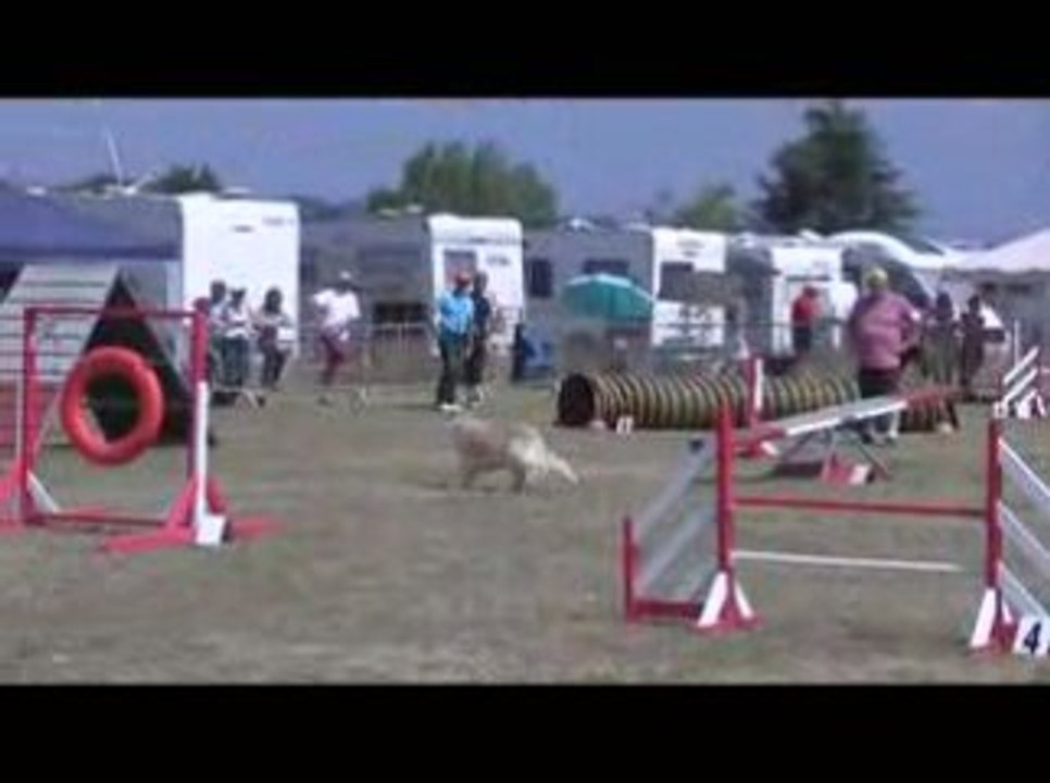 Salsa GPF Agility Annonay 28/06/2009