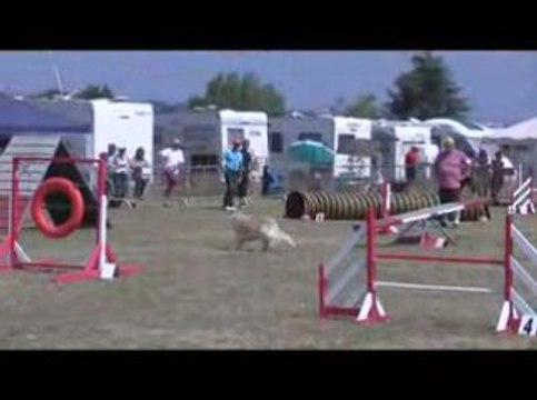 Salsa GPF Agility Annonay 28/06/2009