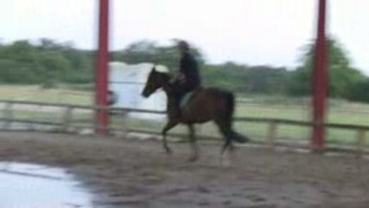RATINA ET RONAN MANEGE 29-06-09