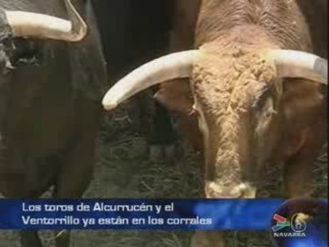 Pampelune : Toros d'Alcurrucen et d'El Ventorillo au corral