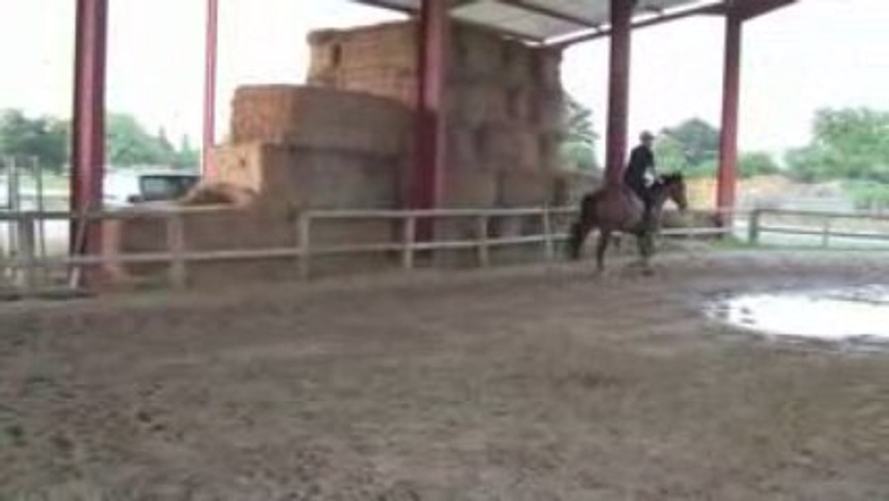 RONAN + RATINA MANEGE 2 29-06-09