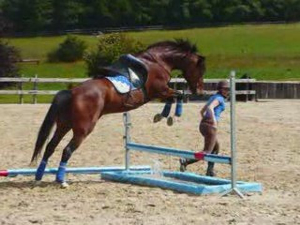 cso mls cordelette
