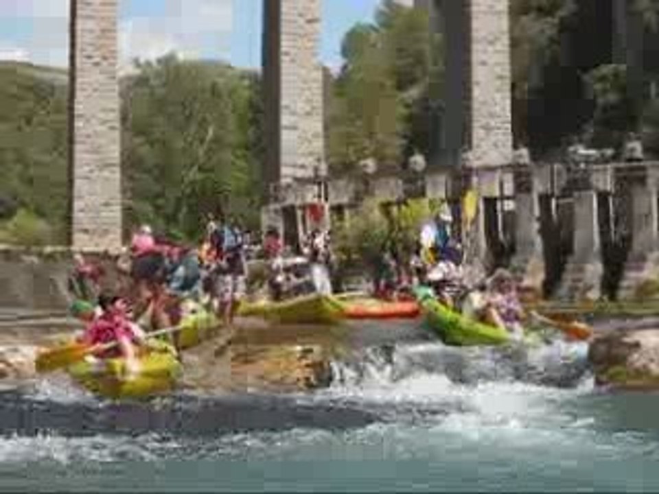 Canoes avec les chiens