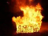 Hoguera de San Pedro 2009