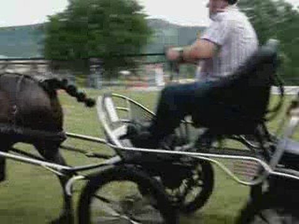 Concours d'attelage: Lavacherie 2009