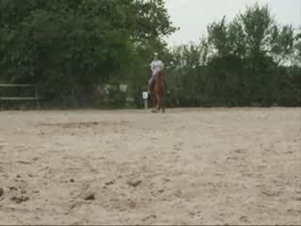 El tino & moi : Cession au trot