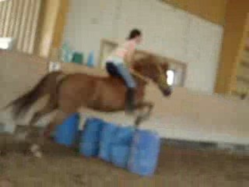 Seance en Lib' - Obstacle - Saut à cru =)