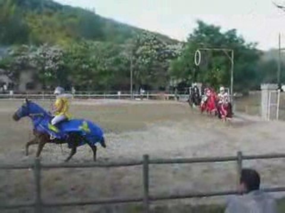 chevaux carrousel chevalier 1
