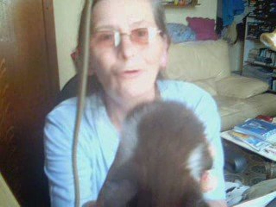 CHATONS A NIC