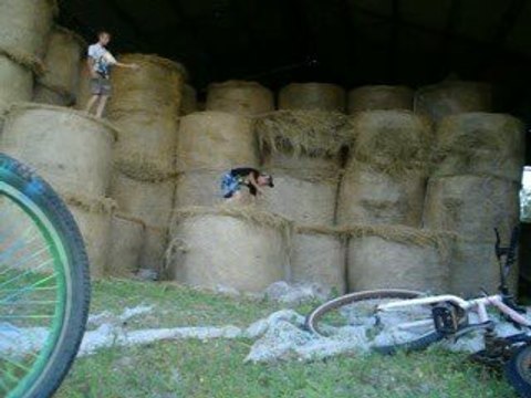 delire delire delire