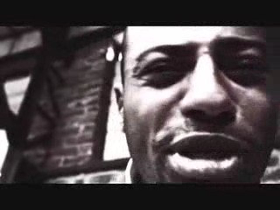 paranoweed 16 lexpert