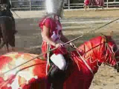 chevaux carrousel chevaliers 2