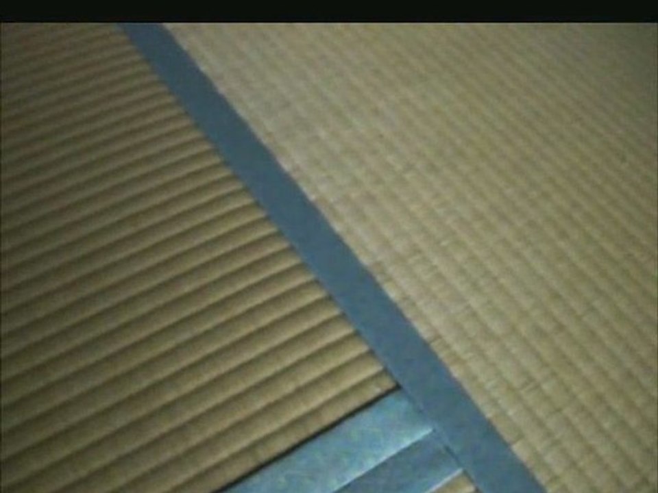 Japón desde otro ángulo:3 El tatami