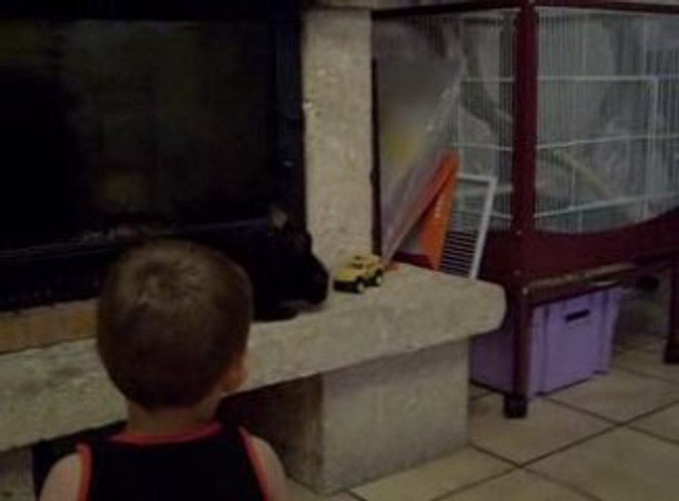 Lohan et son lapin....