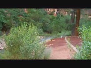 Zion National Park Scenic Drive from the valley floor