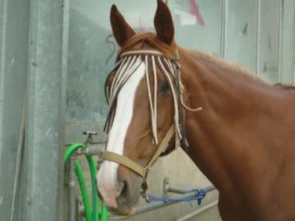 Mon Coeur**