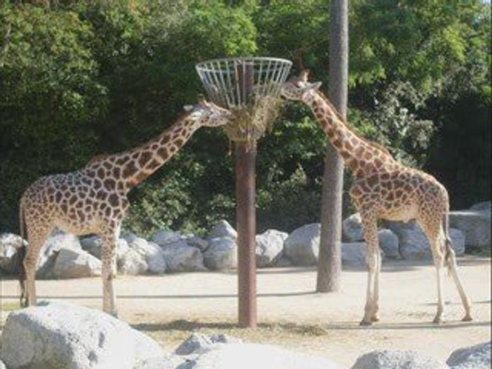 Vacances Palmyre 2009 Ben et Milie