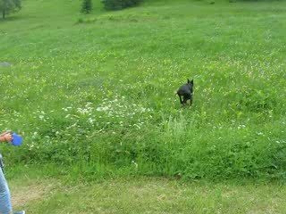 Vixie dans ses oeuvres