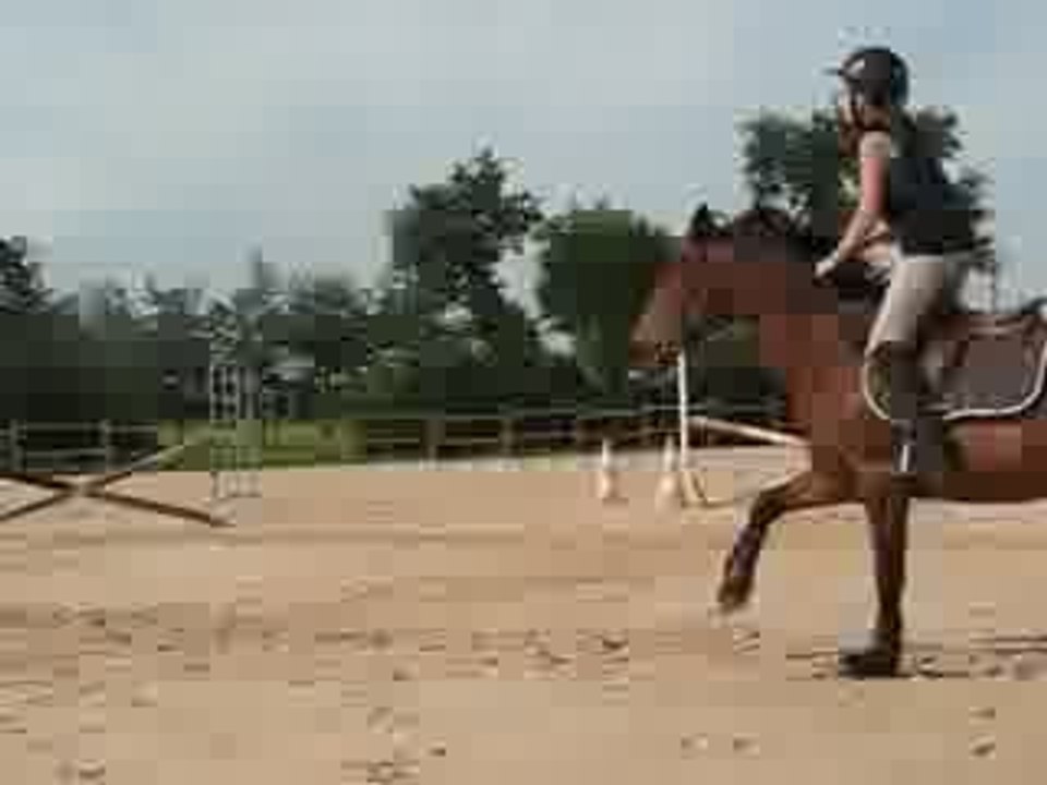 Flika saut ...